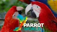 parrot world logo 