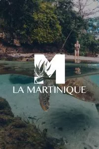 logo martinique absolu